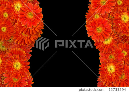 Flowers Flowers 13735294