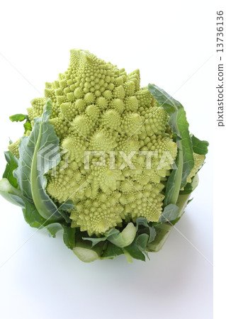 Romanesco 13736136
