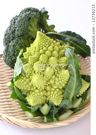 Romanesco and broccoli 13736213