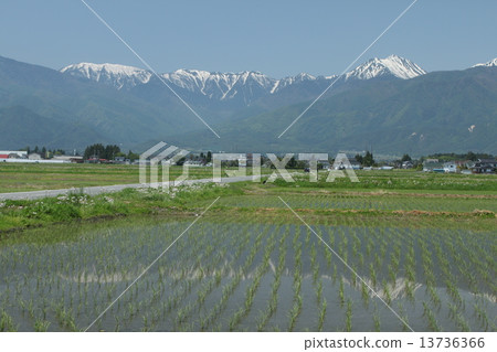 A water glass 13736366