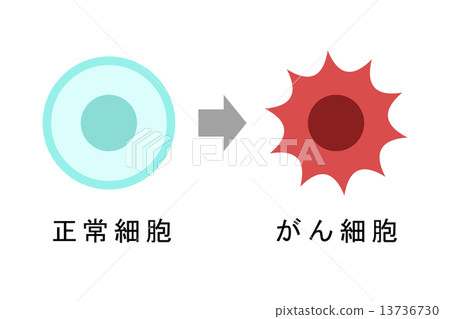 細胞的癌變 13736730