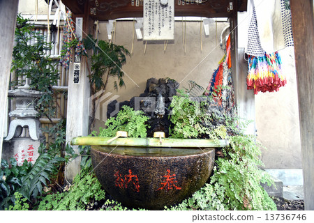 Sugamo Monkey Tahiko Shogun-do Sugamo Monkey Tahiko Shogun-do 13736746