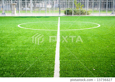soccer field with green grass in stadium soccer field with green grass in stadium 13736827