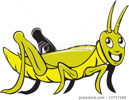 Grasshopper Crawling Side Cartoon Grasshopper Crawling Side Cartoon 13737389