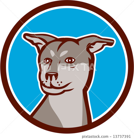 Husky Shar Pei Cross Dog Head Cartoon Husky Shar Pei Cross Dog Head Cartoon 13737391