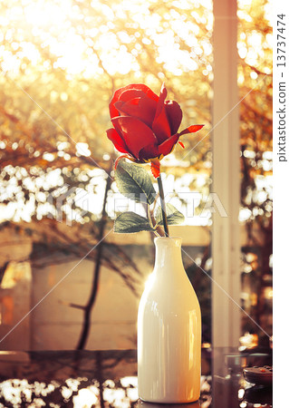 Red roses flower in glass vase Red roses flower in glass vase 13737474