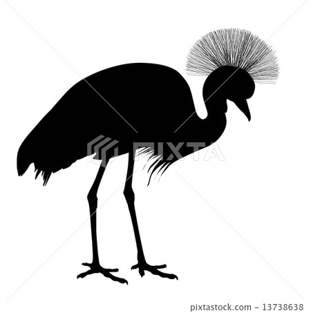 Vector crane 13738638
