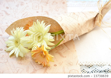 Pale color Gerbera 13738639