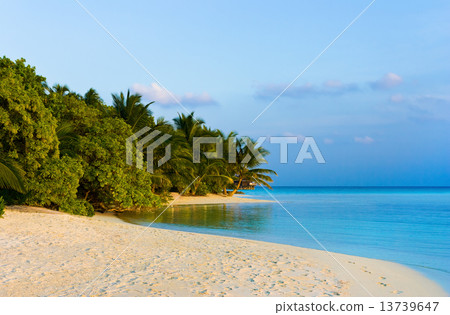 Tropical beach at evening 13739647