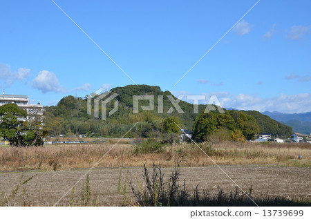 岡城城全視圖 13739699