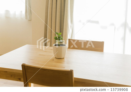 室內植物在桌子上 室內植物在桌子上 13739908