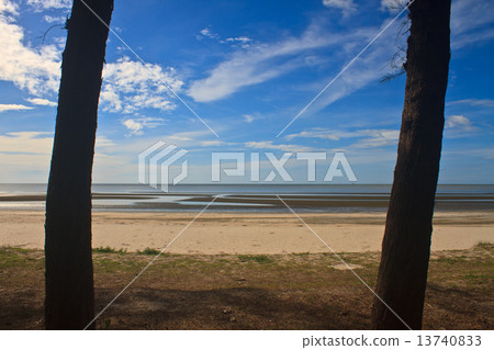 beach and tropical sea in summer 13740833