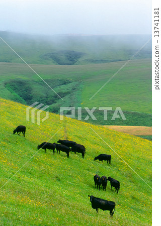 Sōya Hills Sōya Hills 13741181