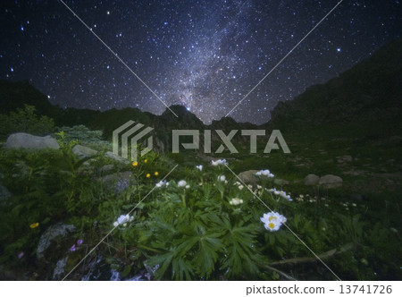 Senjakikikaru 13741726