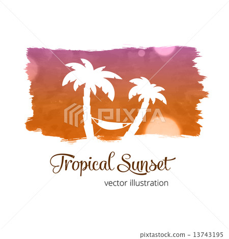 Watercolor splash sunset colors with palm silhouette 13743195