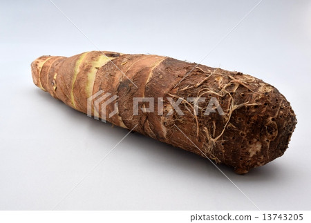 Shrimp potato Shrimp potato 13743205