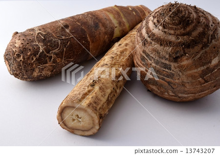 蝦土豆，堀川牛蒡，紅薯 13743207