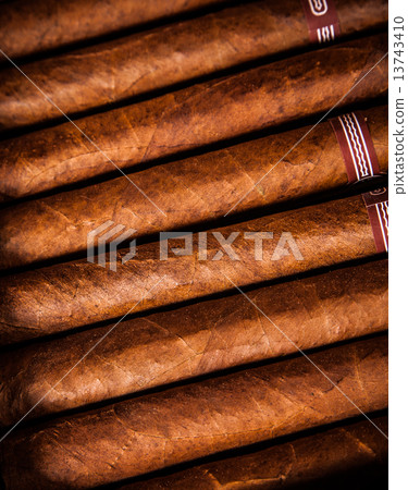 Cigars in humidor 13743410
