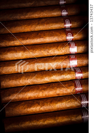 Cigars in humidor Cigars in humidor 13743437