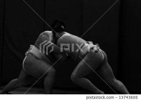 實踐景觀 13743608