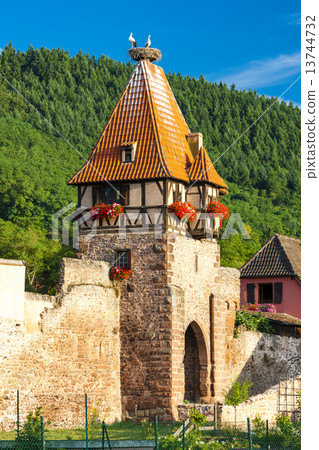 Chatenois, Alsace, France 13744732