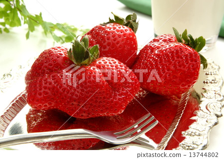 Ichigo white background Ichigo white background 13744802