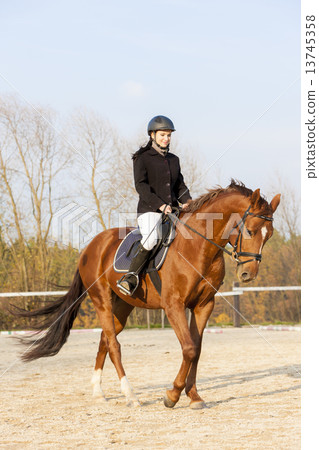 equestrian on horseback equestrian on horseback 13745358