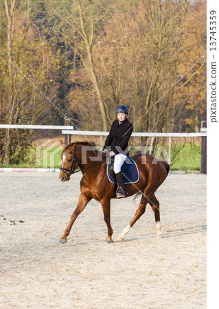 equestrian on horseback 13745359