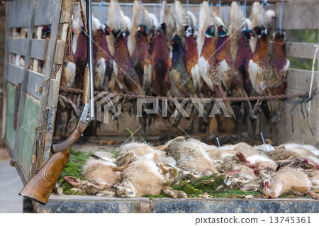 excludes of caught animals 13745361