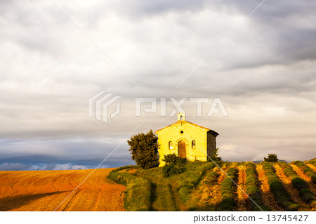 chapel with lavender field, Plateau de Valensole, Provence, Fran chapel with lavender field, Plateau de Valensole, Provence, Fran 13745427