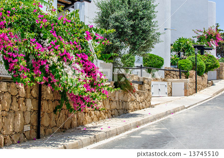 Flower street Flower street 13745510