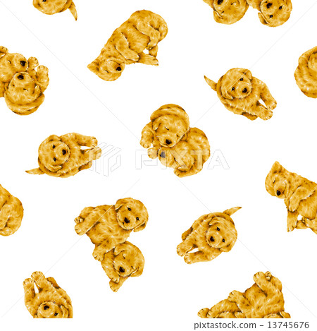  一隻可愛的狗的手柄 13745676