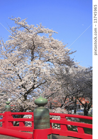 Sakuratery at the Karasawa River 13745965