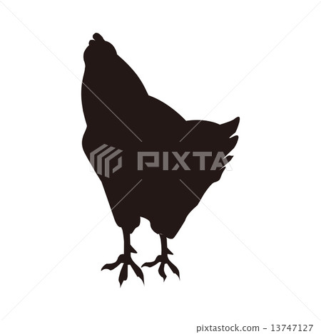 Chicken chicken cutting picture 13747127
