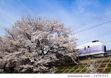 中央線的櫻花·勝沼葡萄園和E351系列表達“超級Azusa” 13747553