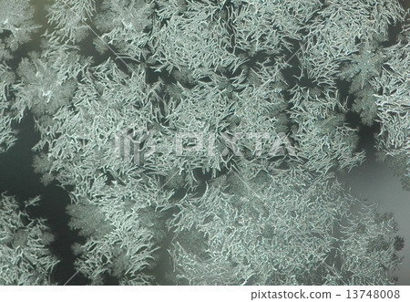 Snow pattern Snow pattern 13748008