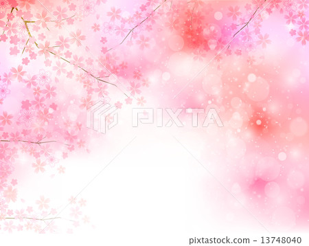 Cherry blossom background 13748040
