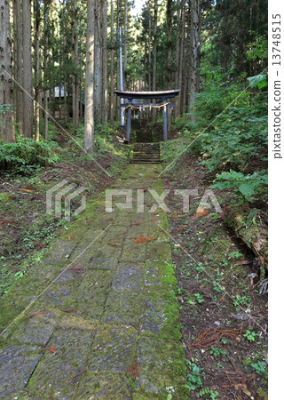 Aoki Shrine 13748515