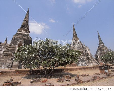 Wat Phra Seasan Pet Wat Phra Seasan Pet 13749057
