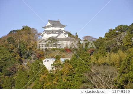 千葉縣大崎城 千葉縣大崎城 13749339