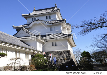 千葉縣大崎城 13749340