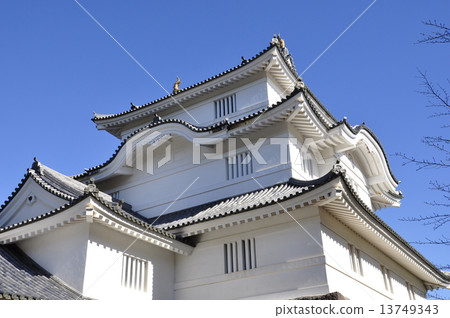 千葉縣大崎城 13749343