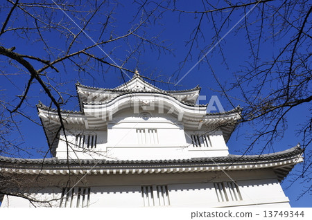 千葉縣大崎城 13749344