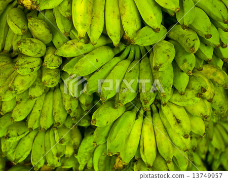 Green bananas Green bananas 13749957