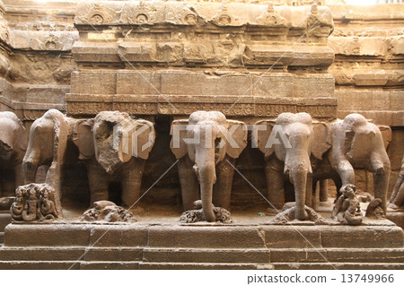 埃洛拉 埃洛拉 13749966