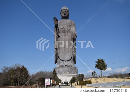 茨城縣：世界最大的青銅立像牛久大佛 13750348