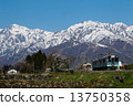 Oki線的本地火車在春天跑回北阿爾卑斯山 13750358