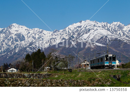 Local train of the Oki Line that runs back to the North Alps in spring 13750358