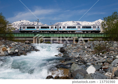 Oki線的本地火車在春天跑回北阿爾卑斯山 13750360
