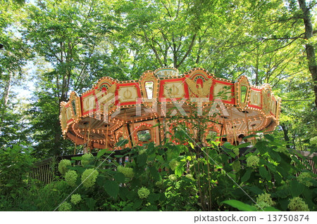 Merry-go-round in the forest 13750874